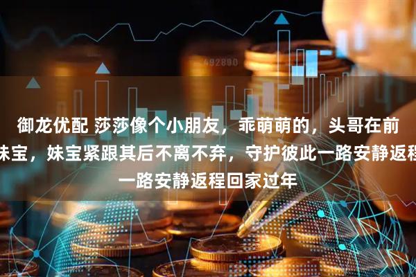 御龙优配 莎莎像个小朋友，乖萌萌的，头哥在前面走护着妹宝，妹宝紧跟其后不离不弃，守护彼此一路安静返程回家过年